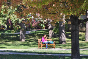 a Luther student sitting on an outdoor bench on campus