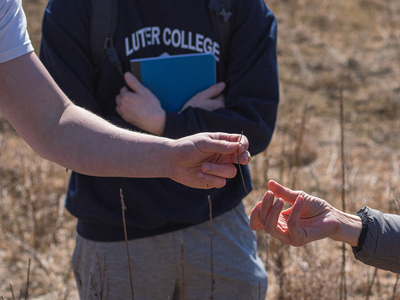 three students examine the type of grasses in a field