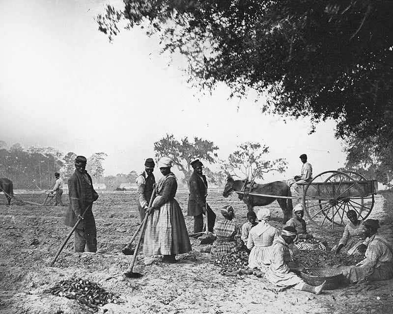 Luther College professor awarded Bradford Dissertation Prize Luther