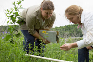 two Luther students studying plants in a field