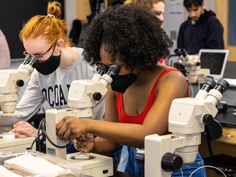 Sitsandziwe Simelane using a microscope in a lab