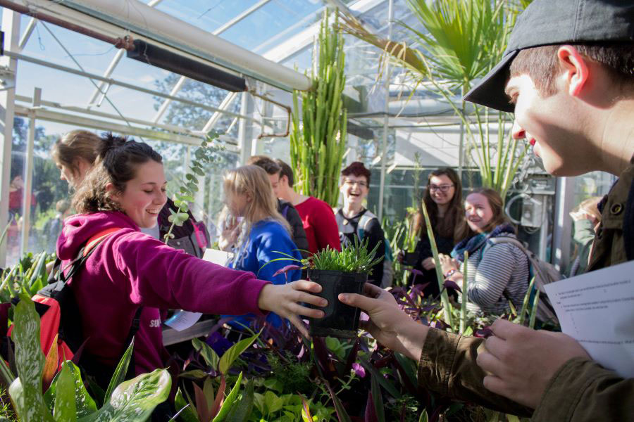 Luther students studying plants in a greenhouse