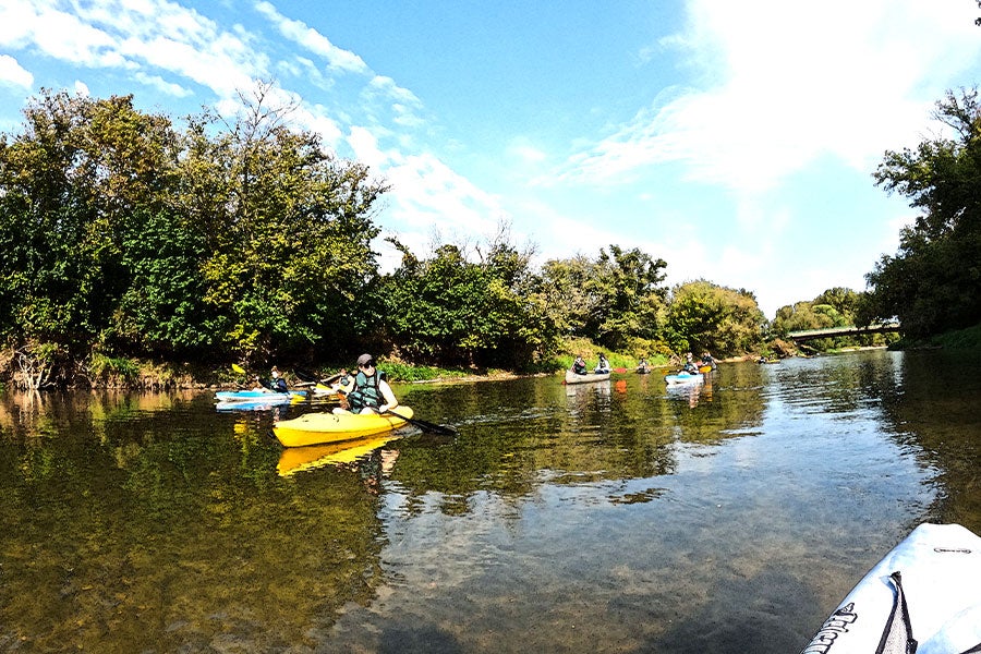 A clear river with four or five kayakers on it and low foliage lining the banks