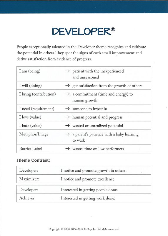 Definitions and insights of an developer theme