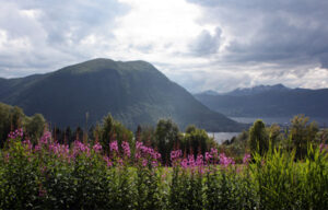 Picture taken in Volda, Norway