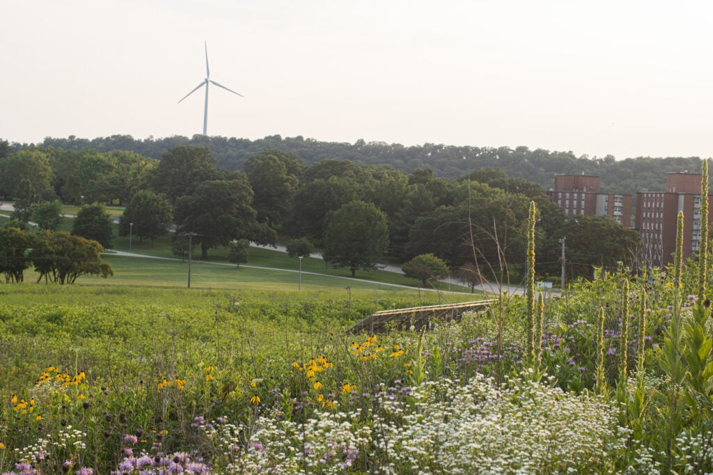Luther College invites public to recognize Climate Justice Week through