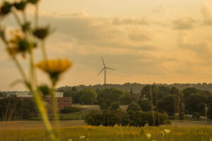 An Iowa prairie at sunset