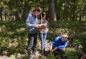 Luther College students doing research in the woods
