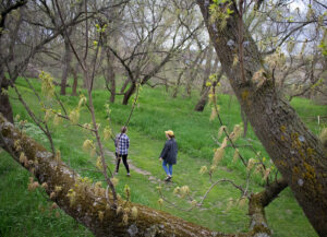 Luther College students walking on a trail outdoors