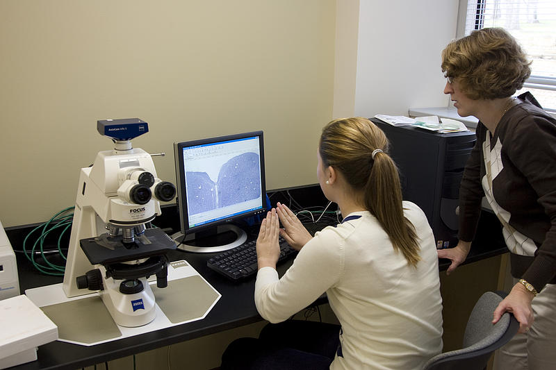 Luther College students working in the neuroscience lab.