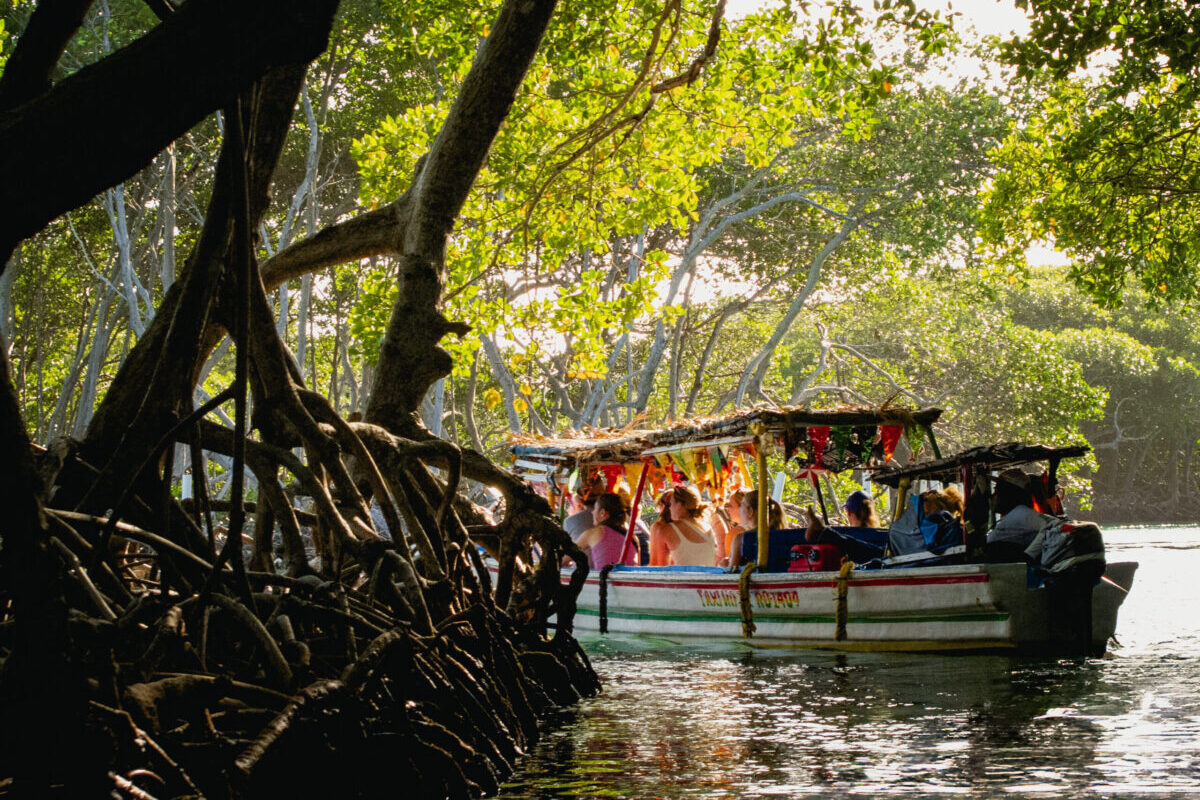 Boat traversing the waters