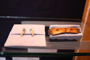 Earrings (Alaska, E683) and comb (Alaska, E177)