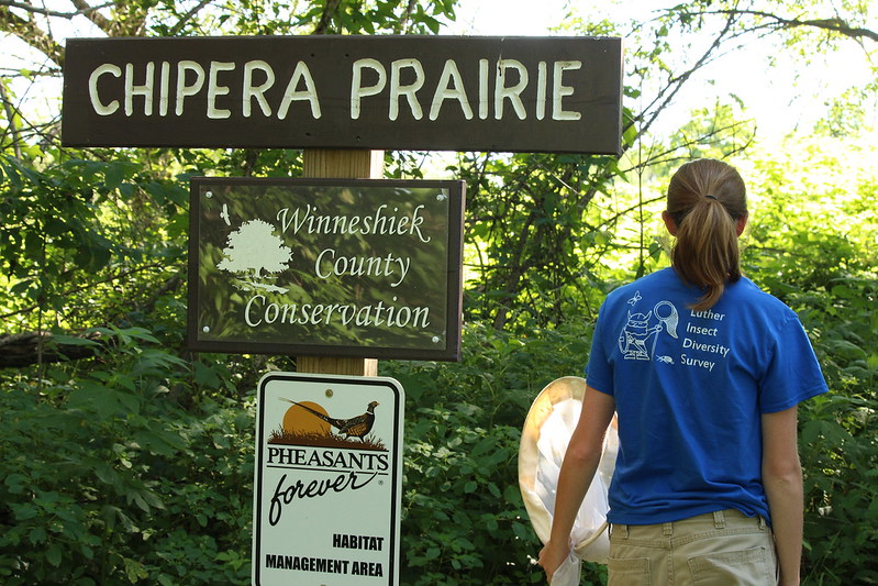 Luther Entomology - Chipera Prairie