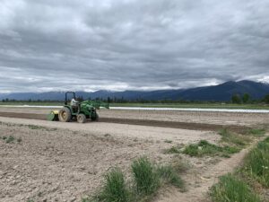 Picture of farmer out in the field