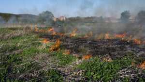 Luther College researchers conduct a controlled burn of Anderson Prairie.