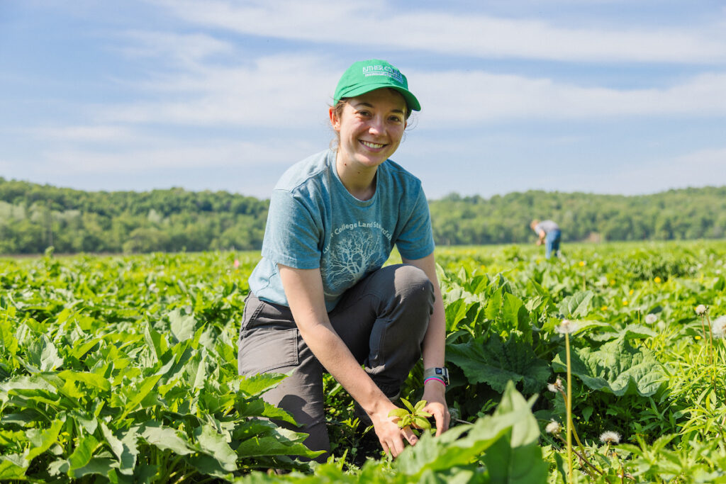 A young woman in a green hat and blue shirts kneeling among prairie plants. 