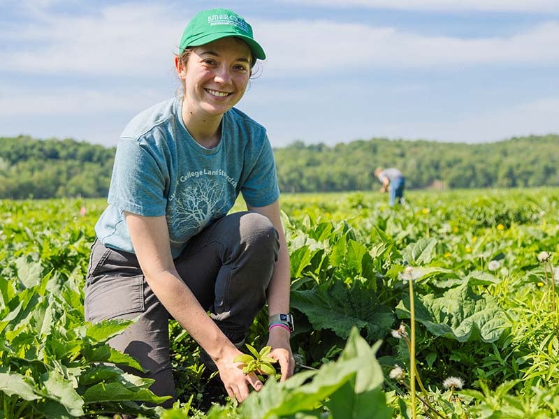 A student kneels down with a seedling in a prairie