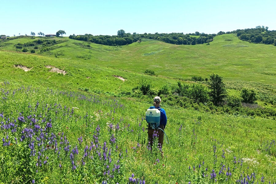 woman walking in Broken Kettle Grasslands Preserve
