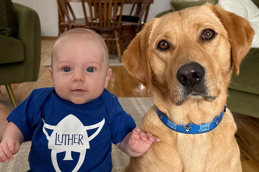 A baby wearing a blue Norse head onesie on the left and a golden lab-type dog wearing a Luther College collar on the right