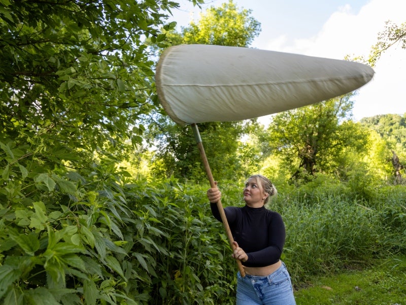 A woman waves a large net toward a tree at the edge of a mowed path