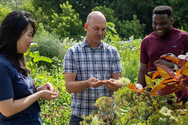 3 people standing in garden doing research
