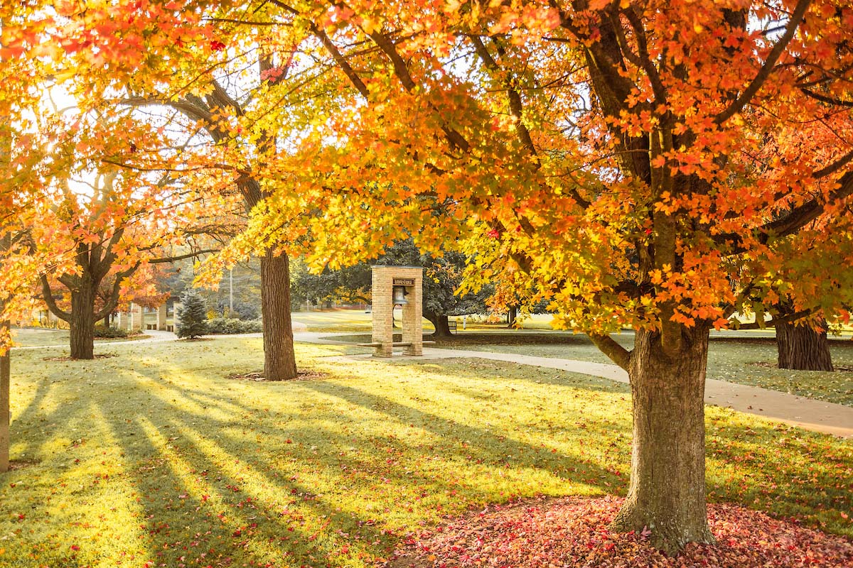 trees with leaves turning red and yellow at Luther College campus in Decorah, Iowa
